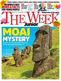coverImage