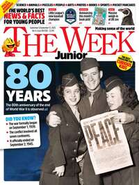 coverImage