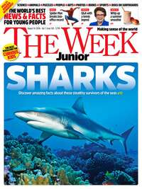 coverImage