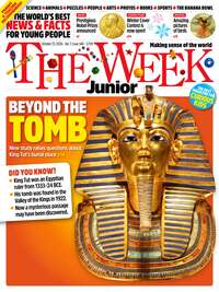 coverImage