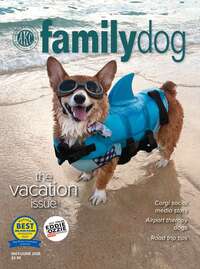 coverImage