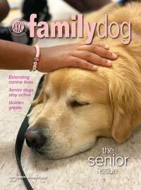 coverImage