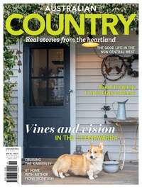 coverImage