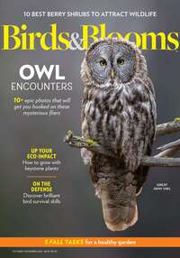 coverImage