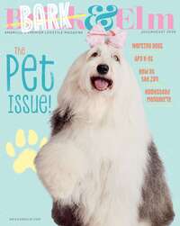 coverImage