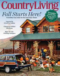coverImage