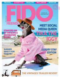 coverImage