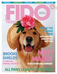 coverImage