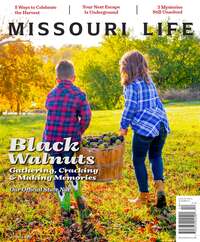 coverImage