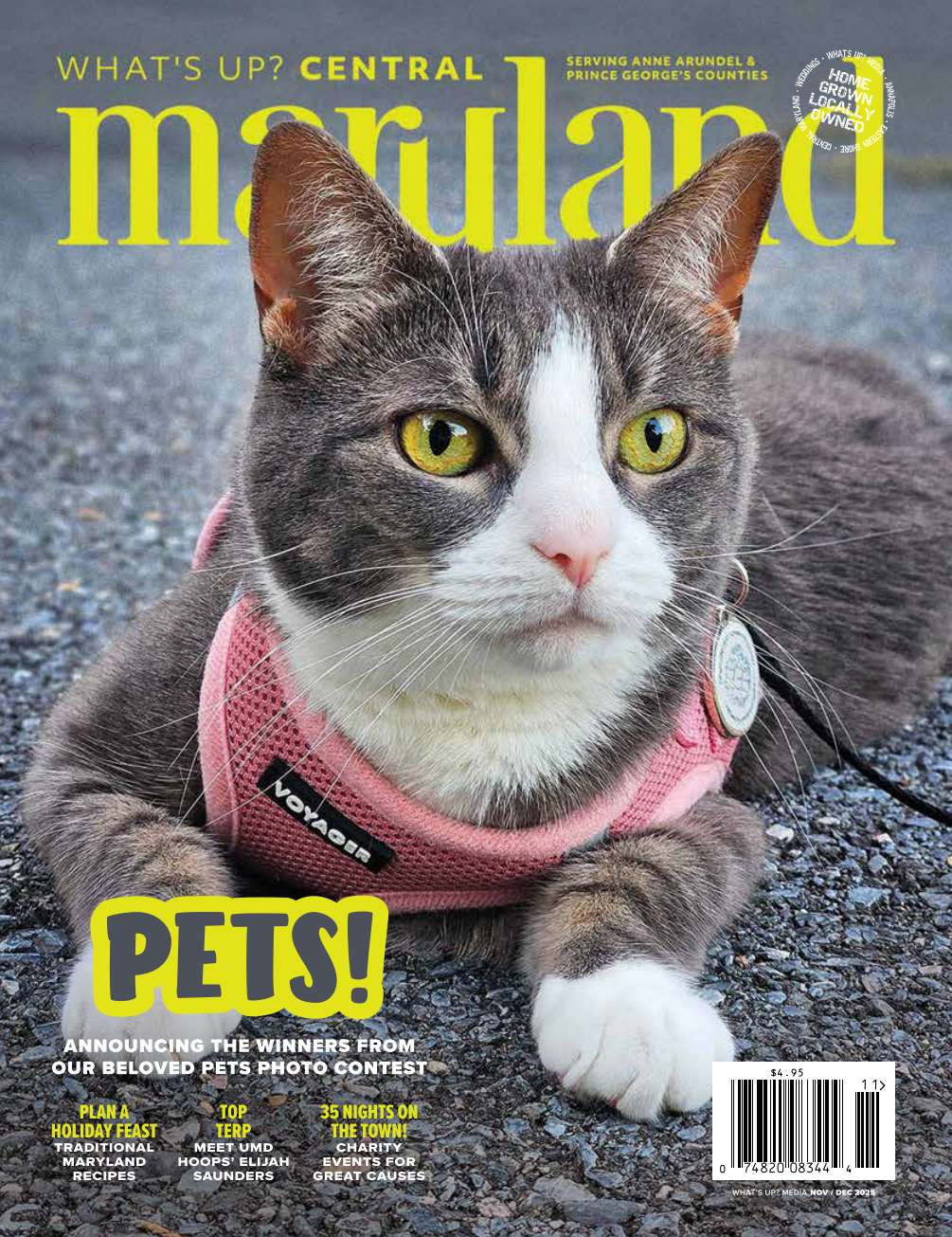 Cover of What's Up? Central Maryland